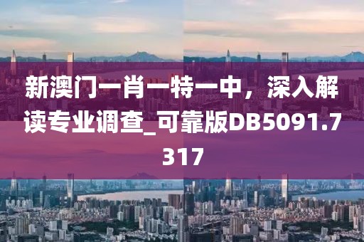 新澳門一肖一特一中，深入解讀專業(yè)調(diào)查_可靠版DB5091.7317