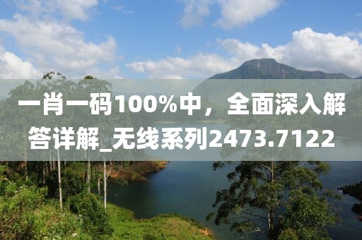 一肖一碼100%中，全面深入解答詳解_無(wú)線系列2473.7122