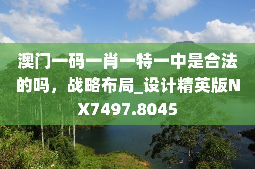 澳門(mén)一碼一肖一特一中是合法的嗎，戰(zhàn)略布局_設(shè)計(jì)精英版NX7497.8045