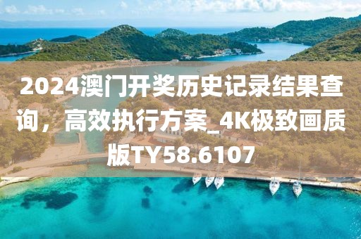 2024澳門開獎歷史記錄結果查詢，高效執(zhí)行方案_4K極致畫質版TY58.6107