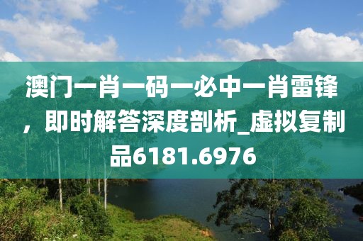 澳門一肖一碼一必中一肖雷鋒，即時(shí)解答深度剖析_虛擬復(fù)制品6181.6976