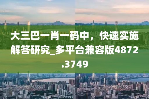 大三巴一肖一碼中，快速實(shí)施解答研究_多平臺(tái)兼容版4872.3749