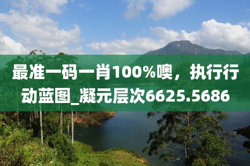 最準一碼一肖100%噢，執(zhí)行行動藍圖_凝元層次6625.5686