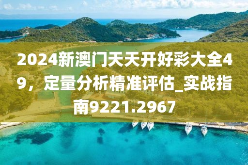 2024新澳門天天開好彩大全49，定量分析精準評估_實戰(zhàn)指南9221.2967