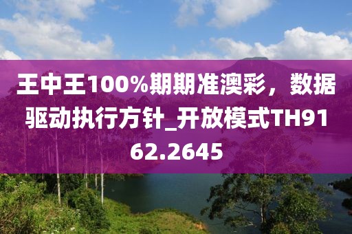 王中王100%期期準(zhǔn)澳彩，數(shù)據(jù)驅(qū)動(dòng)執(zhí)行方針_開(kāi)放模式TH9162.2645