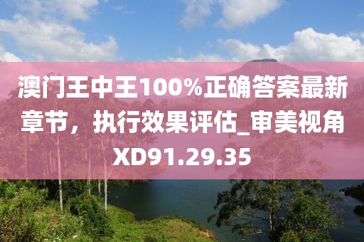 澳門王中王100%正確答案最新章節(jié)，執(zhí)行效果評估_審美視角XD91.29.35