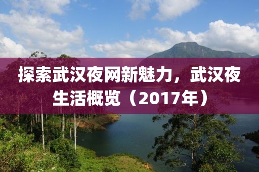 探索武漢夜網(wǎng)新魅力，武漢夜生活概覽（2017年）