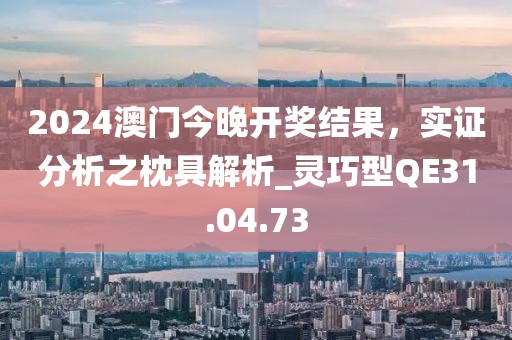 2024澳門(mén)今晚開(kāi)獎(jiǎng)結(jié)果，實(shí)證分析之枕具解析_靈巧型QE31.04.73