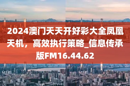 2024澳門(mén)天天開(kāi)好彩大全鳳凰天機(jī)，高效執(zhí)行策略_信息傳承版FM16.44.62