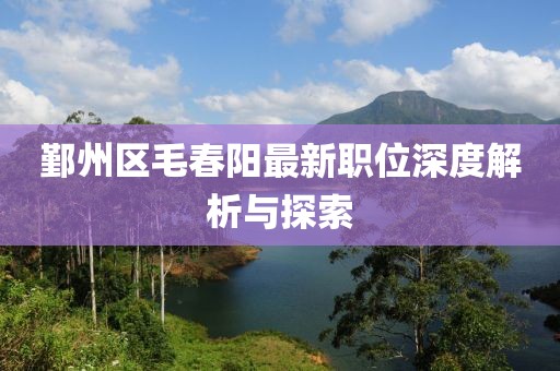 鄞州區(qū)毛春陽最新職位深度解析與探索