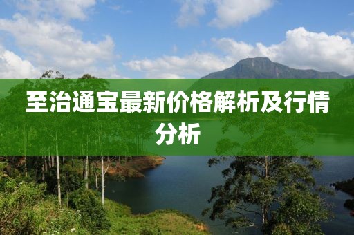 至治通寶最新價格解析及行情分析