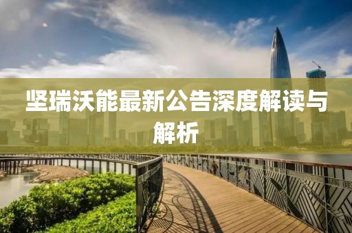 堅瑞沃能最新公告深度解讀與解析