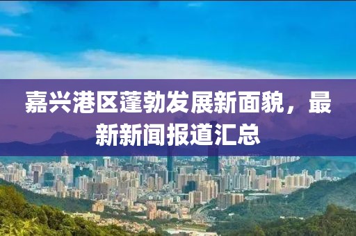 嘉興港區(qū)蓬勃發(fā)展新面貌，最新新聞報道匯總