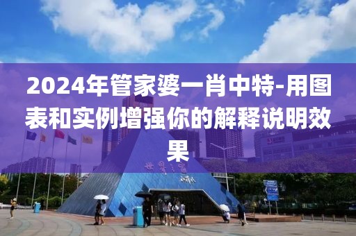 2024年管家婆一肖中特-用圖表和實例增強你的解釋說明效果