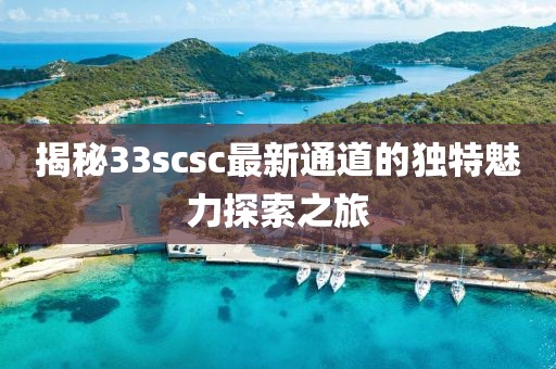 揭秘33scsc最新通道的獨特魅力探索之旅