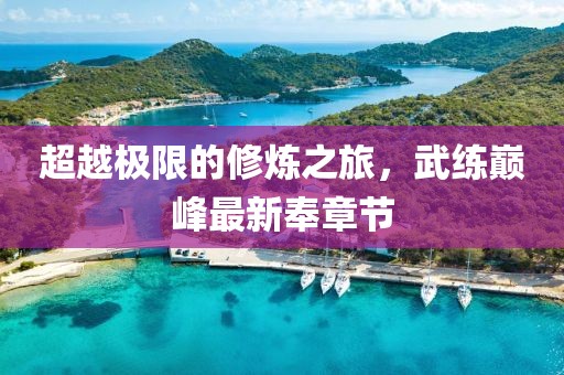 超越極限的修煉之旅，武練巔峰最新奉章節(jié)