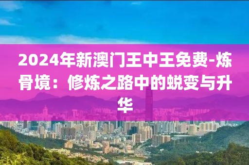 2024年新澳門王中王免費(fèi)-煉骨境：修煉之路中的蛻變與升華