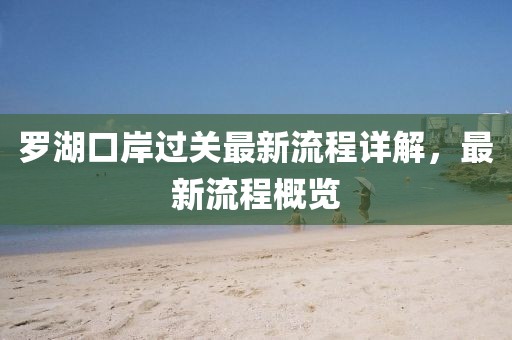 羅湖口岸過關最新流程詳解，最新流程概覽