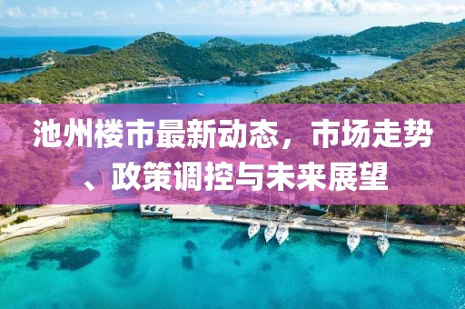 池州樓市最新動態(tài)，市場走勢、政策調(diào)控與未來展望