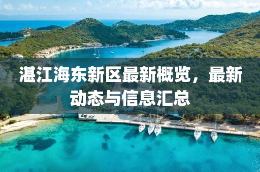 湛江海東新區(qū)最新概覽，最新動態(tài)與信息匯總