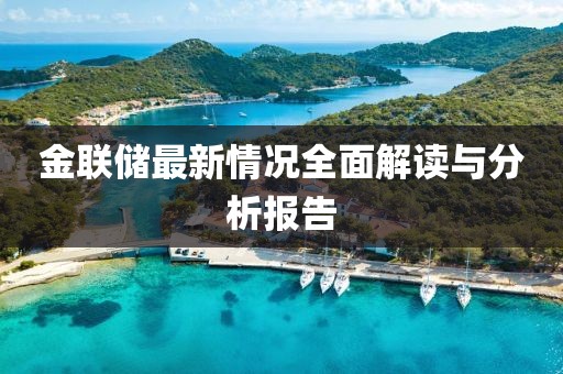 金聯(lián)儲最新情況全面解讀與分析報告