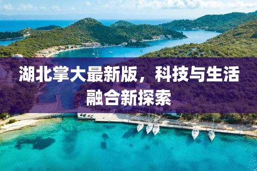 湖北掌大最新版，科技與生活融合新探索