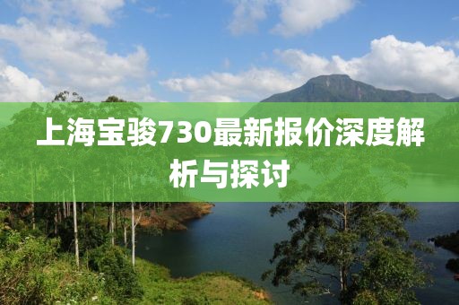 上海寶駿730最新報價深度解析與探討