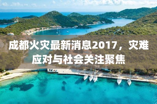 成都火災(zāi)最新消息2017，災(zāi)難應(yīng)對(duì)與社會(huì)關(guān)注聚焦