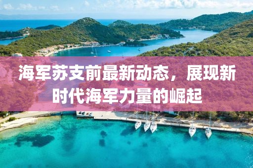 海軍蘇支前最新動(dòng)態(tài)，展現(xiàn)新時(shí)代海軍力量的崛起