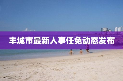 豐城市最新人事任免動態(tài)發(fā)布