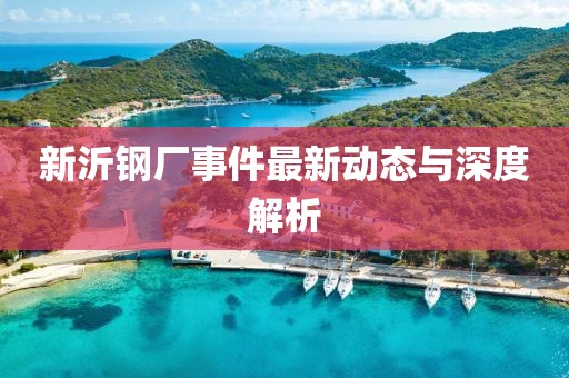 新沂鋼廠事件最新動(dòng)態(tài)與深度解析