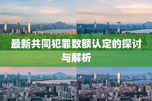 最新共同犯罪數(shù)額認定的探討與解析