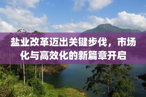 鹽業(yè)改革邁出關(guān)鍵步伐，市場化與高效化的新篇章開啟