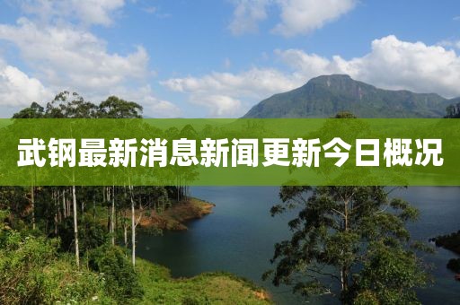 武鋼最新消息新聞更新今日概況