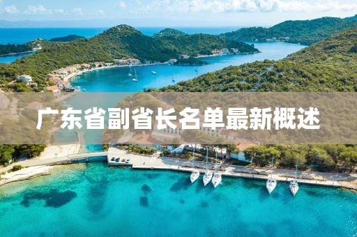 廣東省副省長名單最新概述