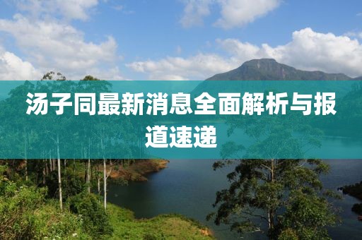 湯子同最新消息全面解析與報道速遞