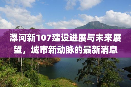 漯河新107建設(shè)進展與未來展望，城市新動脈的最新消息