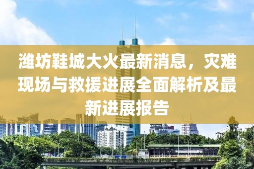 濰坊鞋城大火最新消息，災難現(xiàn)場與救援進展全面解析及最新進展報告