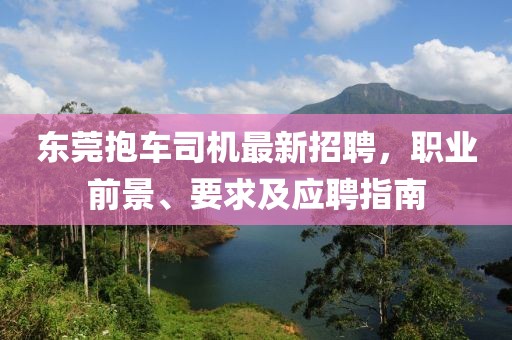 東莞抱車司機最新招聘，職業(yè)前景、要求及應聘指南