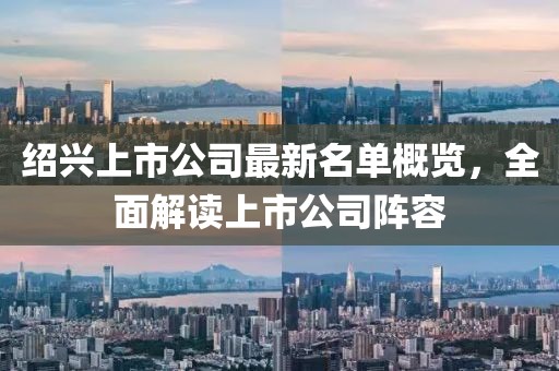 紹興上市公司最新名單概覽，全面解讀上市公司陣容