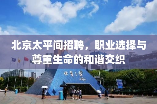 北京太平間招聘，職業(yè)選擇與尊重生命的和諧交織