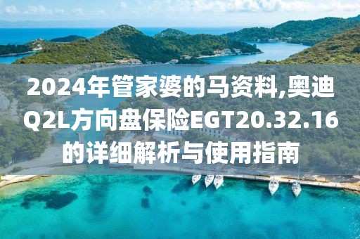 2024年管家婆的馬資料,奧迪Q2L方向盤(pán)保險(xiǎn)EGT20.32.16的詳細(xì)解析與使用指南