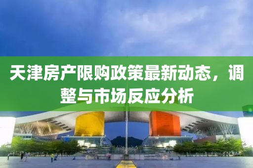 天津房產限購政策最新動態(tài)，調整與市場反應分析