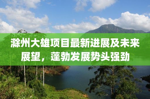 滁州大雄項目最新進展及未來展望，蓬勃發(fā)展勢頭強勁