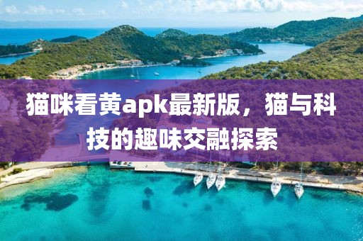 貓咪看黃apk最新版，貓與科技的趣味交融探索