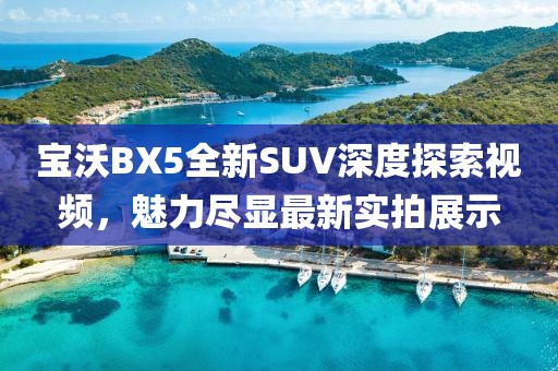 寶沃BX5全新SUV深度探索視頻，魅力盡顯最新實(shí)拍展示