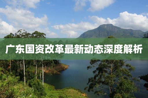 廣東國資改革最新動態(tài)深度解析