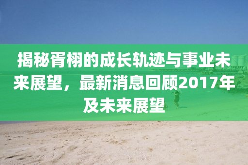 揭秘胥栩的成長軌跡與事業(yè)未來展望，最新消息回顧2017年及未來展望