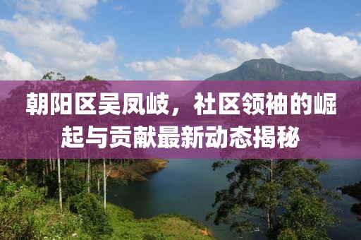 朝陽區(qū)吳鳳岐，社區(qū)領(lǐng)袖的崛起與貢獻(xiàn)最新動態(tài)揭秘