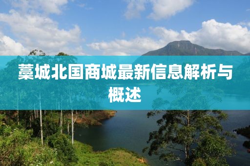 藁城北國商城最新信息解析與概述